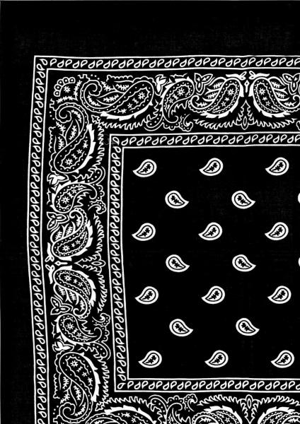 Nickituch Paisley KK, 53 x 53 cm